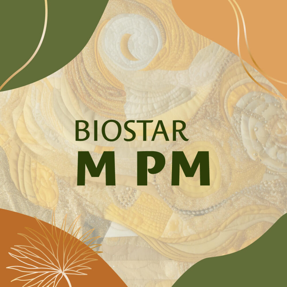 Biostar M PM