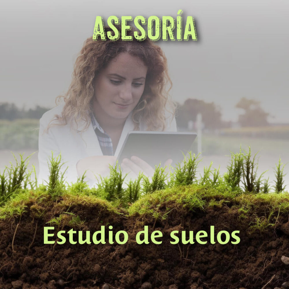 Asesoría: Estudios de Suelo