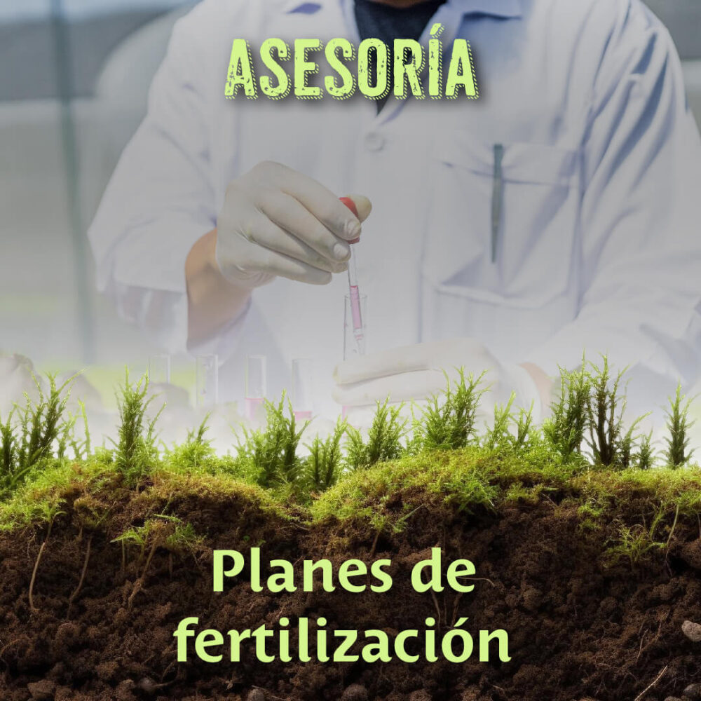 Planes de Fertilización