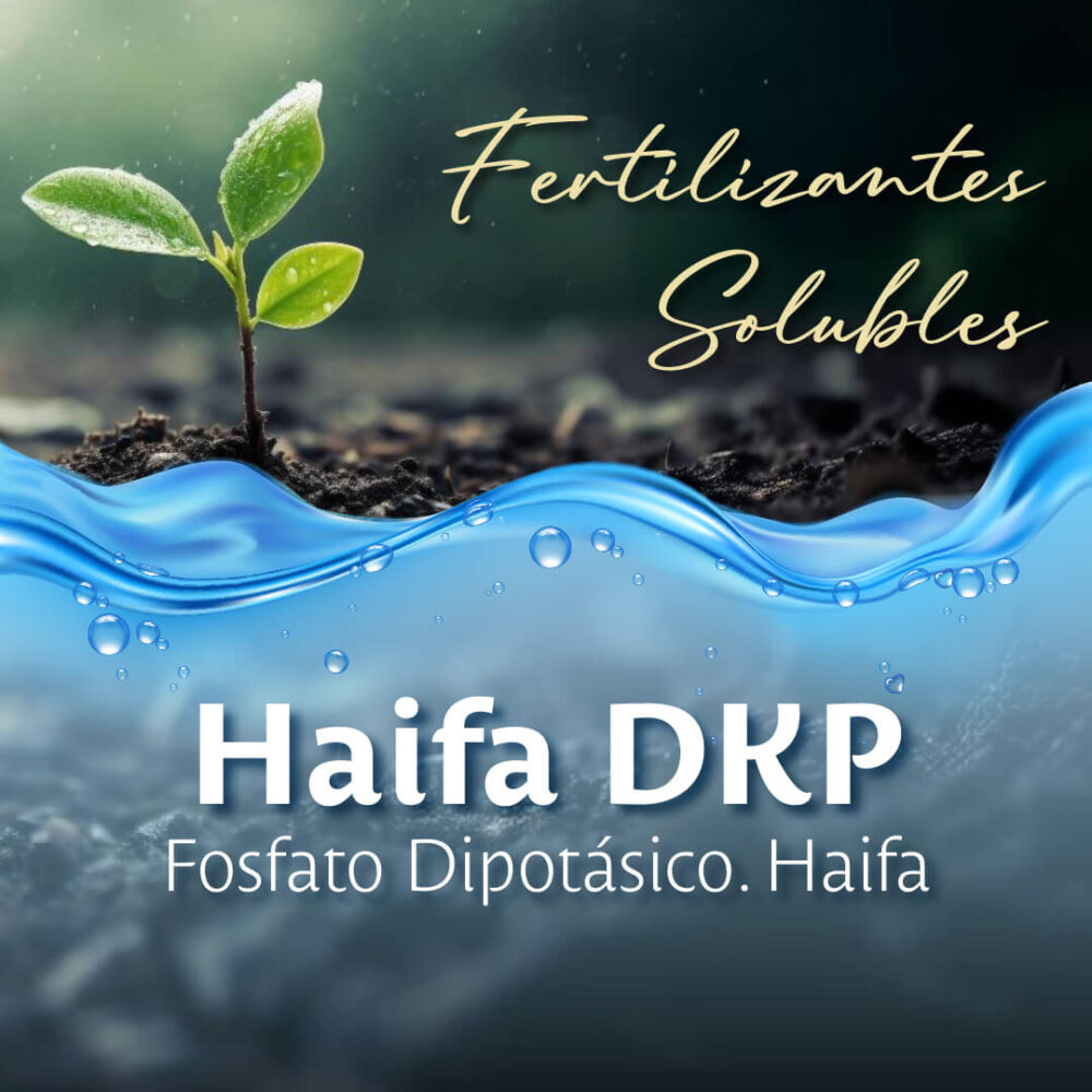 FERT-SOLU_Haifa DKP