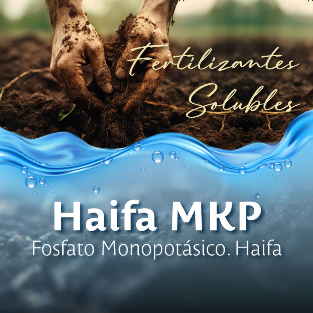 Fertilizante Soluble Haifa MKP