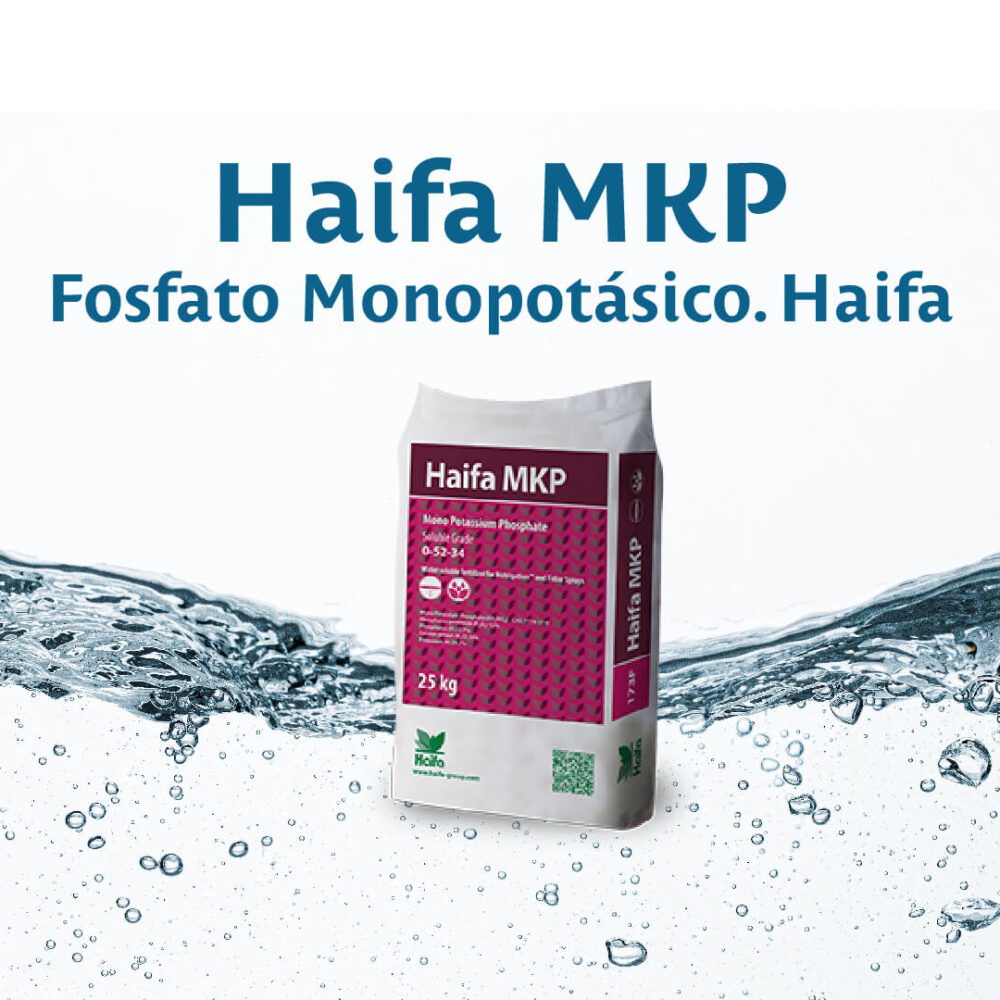 Fertilizante Soluble Haifa MKP